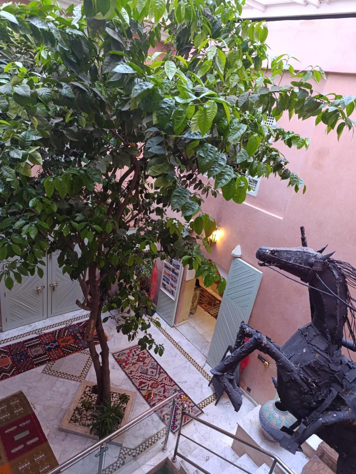 Riad Moullaoud Marrakesh Ngoại thất bức ảnh